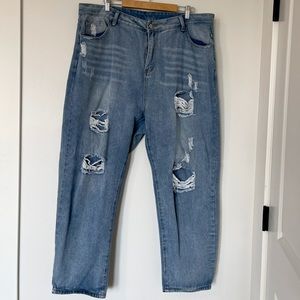 Women’s Plus Size Jeans with Holes